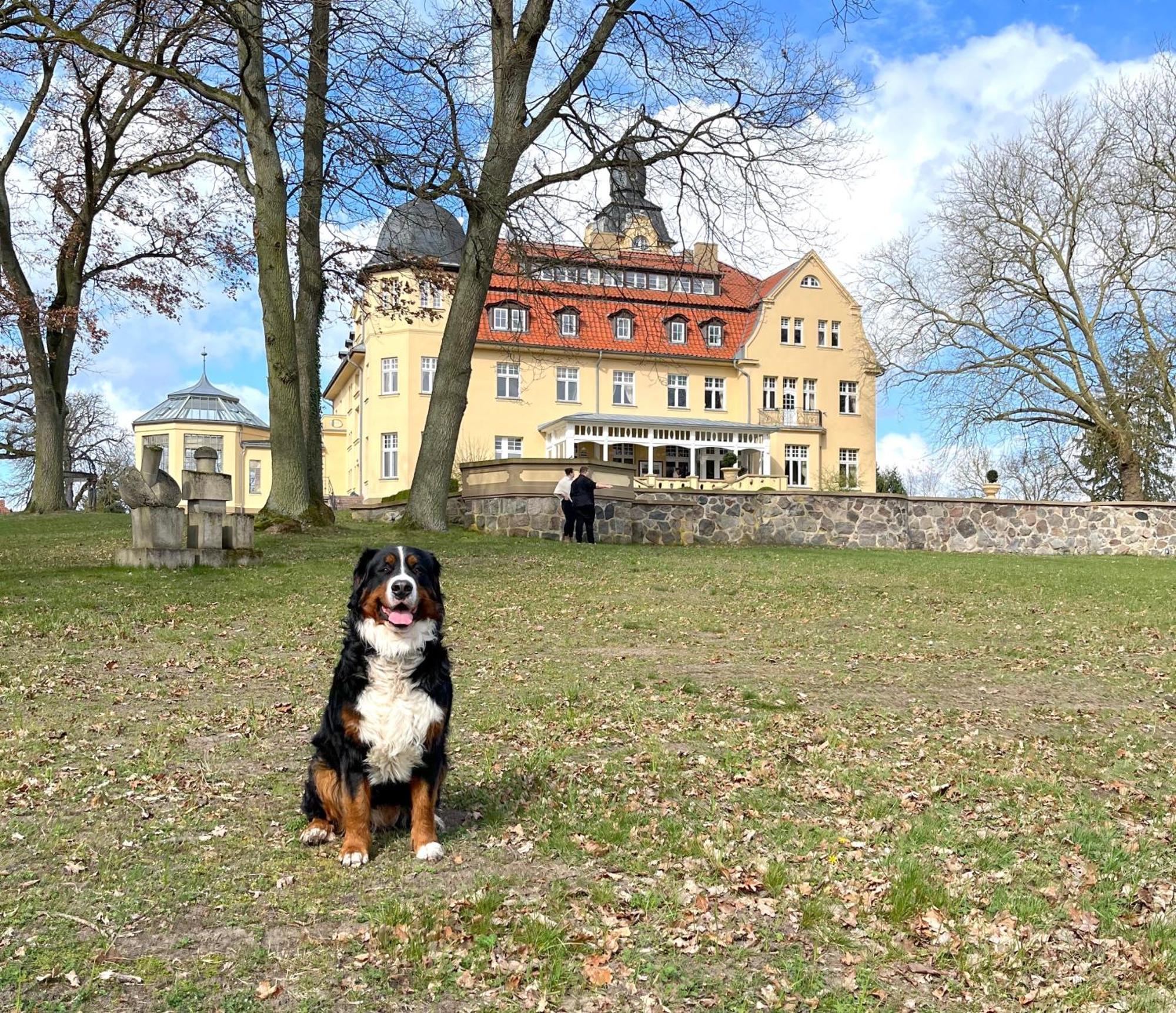 Bernsteinschloss Wendorf  Ngoại thất bức ảnh